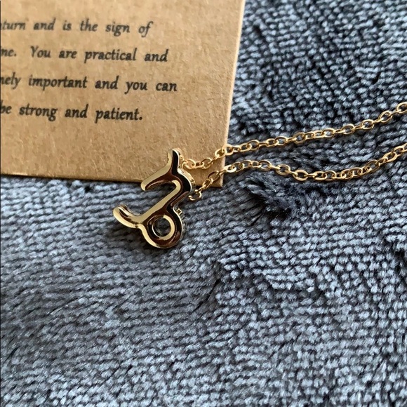 Capricorn ♑️ Necklace - Picture 2 of 2